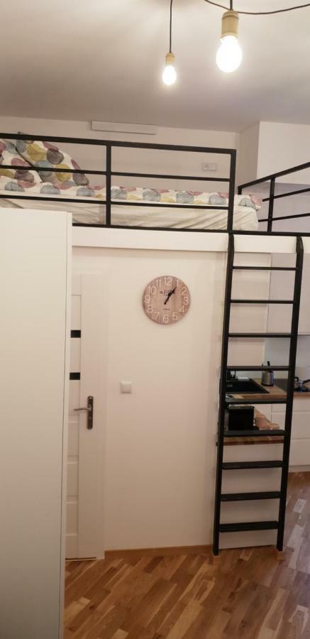 Apartment Lenartowicza Krakow Luaran gambar